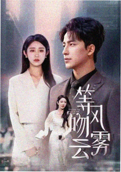 长夜将明 手机在线播放免费电视剧
